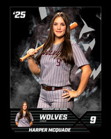 DHS_SB_V_Ind1-7