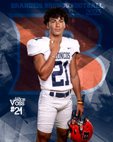 Jacob Voss