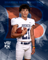 Jacob Voss