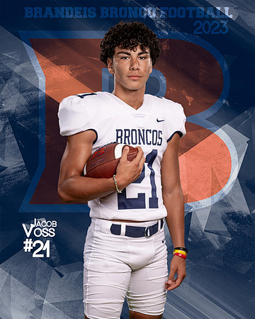 Jacob Voss