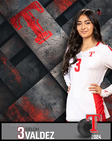 THS_JV_VB_IND2-3