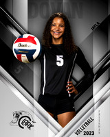 Clark_VB_9th_Ind1-53