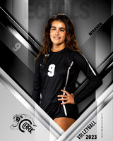 Clark_VB_9th_Ind1-44