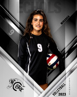 Clark_VB_9th_Ind1-32