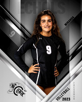 Clark_VB_9th_Ind1-20