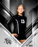Clark_VB_9th_Ind1-23