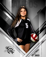 Clark_VB_JV_Ind1-43