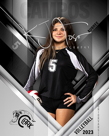 Clark_VB_JV_Ind1-30