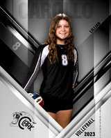 Clark_VB_JV_Ind1-33