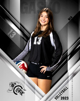 Clark_VB_JV_Ind1-50