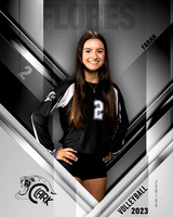 Clark_VB_Var_Ind1-19
