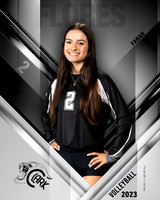 Clark_VB_Var_Ind1-02