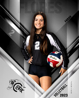Clark_VB_Var_Ind1-36