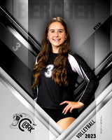 Clark_VB_Var_Ind1-03