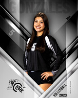 Clark_VB_Var_Ind1-05