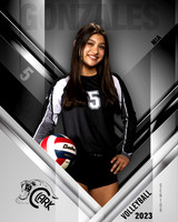 Clark_VB_Var_Ind1-56