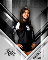 Clark_VB_Var_Ind1-22