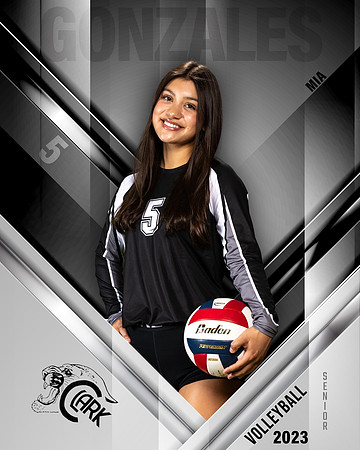 Clark_VB_Var_Ind1-39