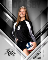 Clark_VB_Var_Ind1-40