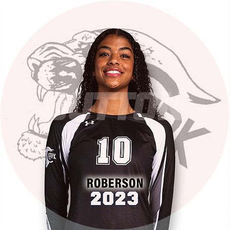 Clark_VB_Var_But-10