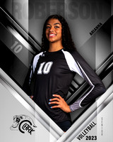 Clark_VB_Var_Ind1-10