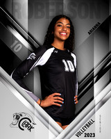 Clark_VB_Var_Ind1-27