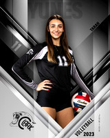 Clark_VB_Var_Ind1-28