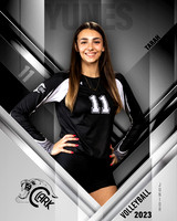 Clark_VB_Var_Ind1-11