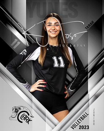 Clark_VB_Var_Ind1-11