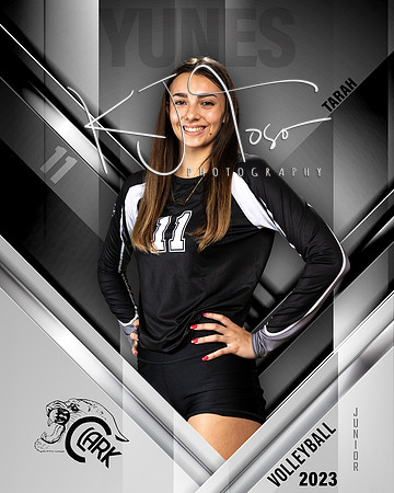 Clark_VB_Var_Ind1-45