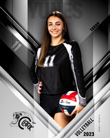 Clark_VB_Var_Ind1-62
