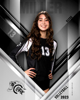 Clark_VB_Var_Ind1-30