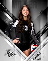 Clark_VB_Var_Ind1-64