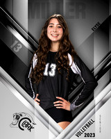 Clark_VB_Var_Ind1-13