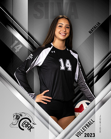 Clark_VB_Var_Ind1-65