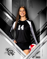 Clark_VB_Var_Ind1-48