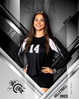 Clark_VB_Var_Ind1-14