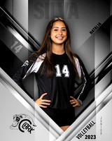 Clark_VB_Var_Ind1-31