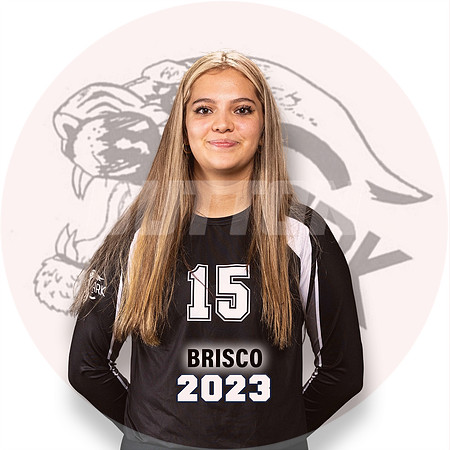 Clark_VB_Var_But-15