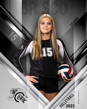 Clark_VB_Var_Ind1-66