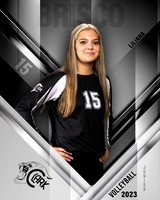 Clark_VB_Var_Ind1-32