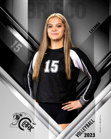 Clark_VB_Var_Ind1-15