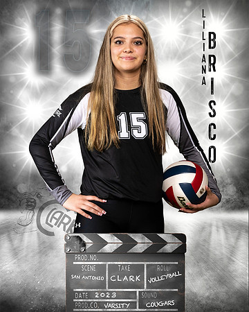 Clark_VB_Var_Ind2-66