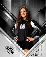 Clark_VB_Var_Ind1-16