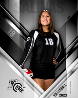 Clark_VB_Var_Ind1-68
