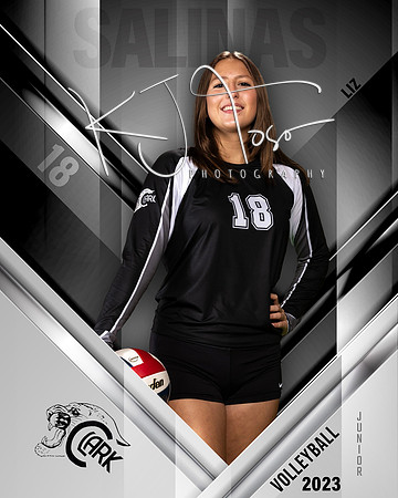Clark_VB_Var_Ind1-68