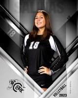 Clark_VB_Var_Ind1-17