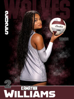 DHS_VB_Var_Ind1-62