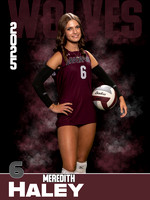 DHS_VB_JV_Ind1-38