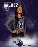 Warren_VB_JV_Ind1-02
